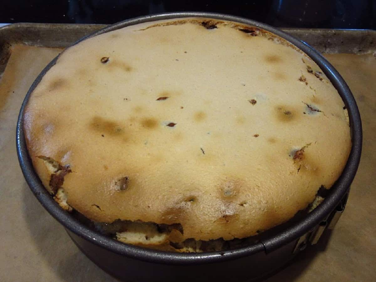 A baked Chocolate Malted Cheesecake in a springform pan.