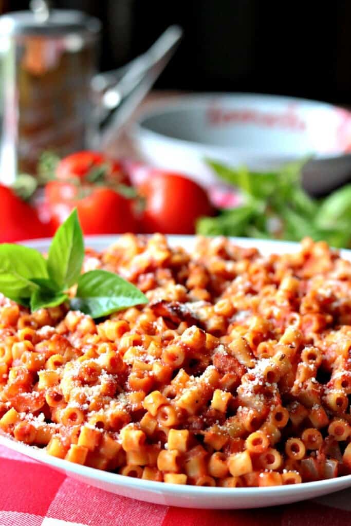Inviting bowl of ditallini pasta with tomatoes and basil in the background.