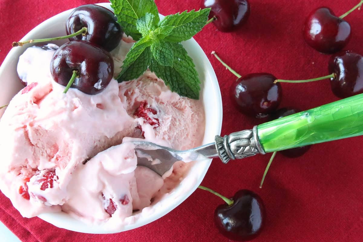 A green handled spoon in a dish of cherry amaretto ice cream with fresh mint on top.
