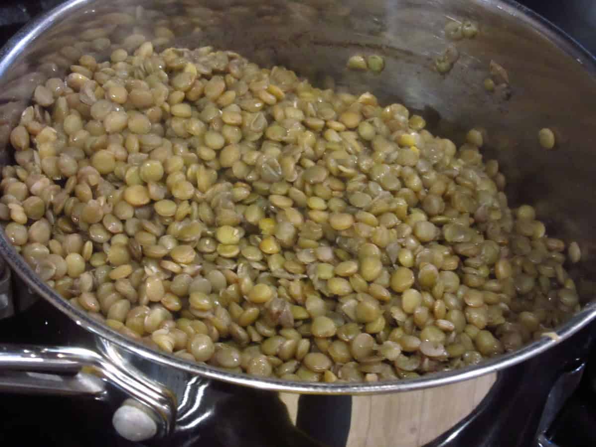 Drained brown lentils in a saucepan.