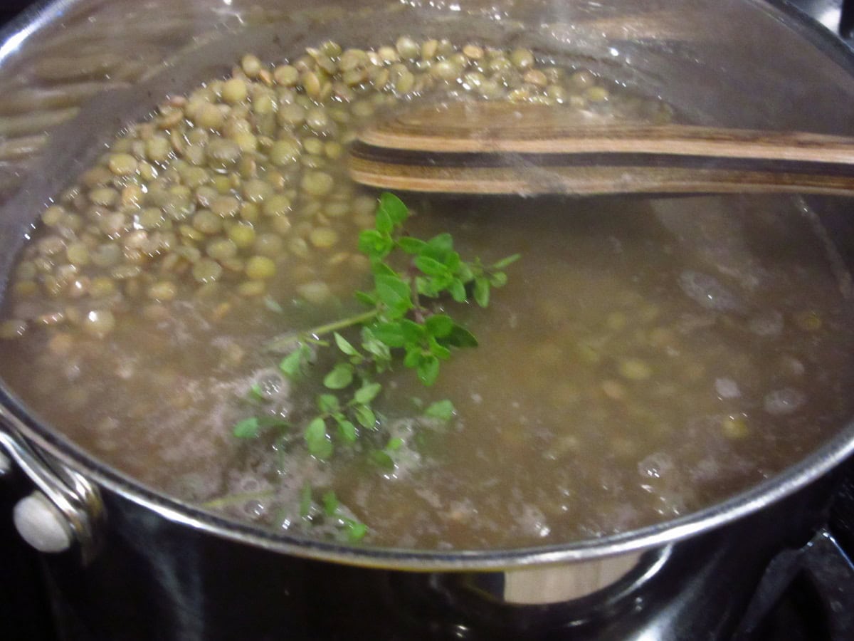 Lentils in a saucepan with stock and fresh thyme.