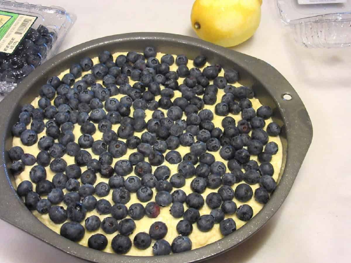 Fresh blueberries on top of a unbaked lemon ricotta cake.