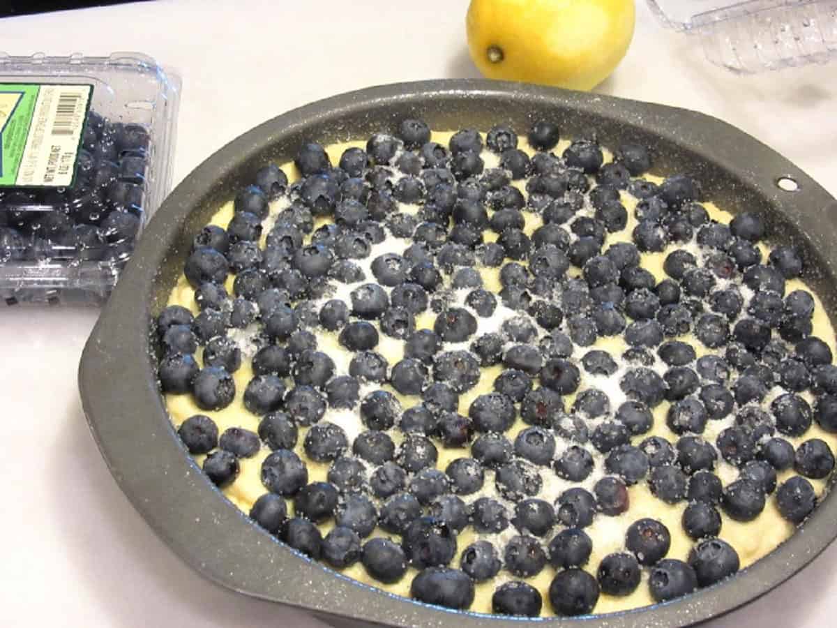 Sugar on top of an unbaked lemon ricotta cake.