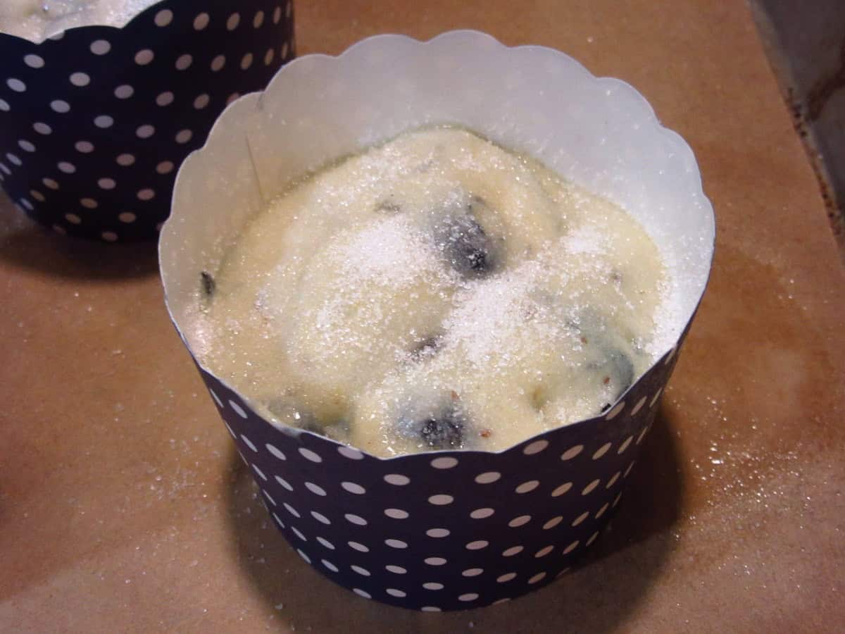 Sugar sprinkled on top of blueberry muffin batter in a muffin cup.