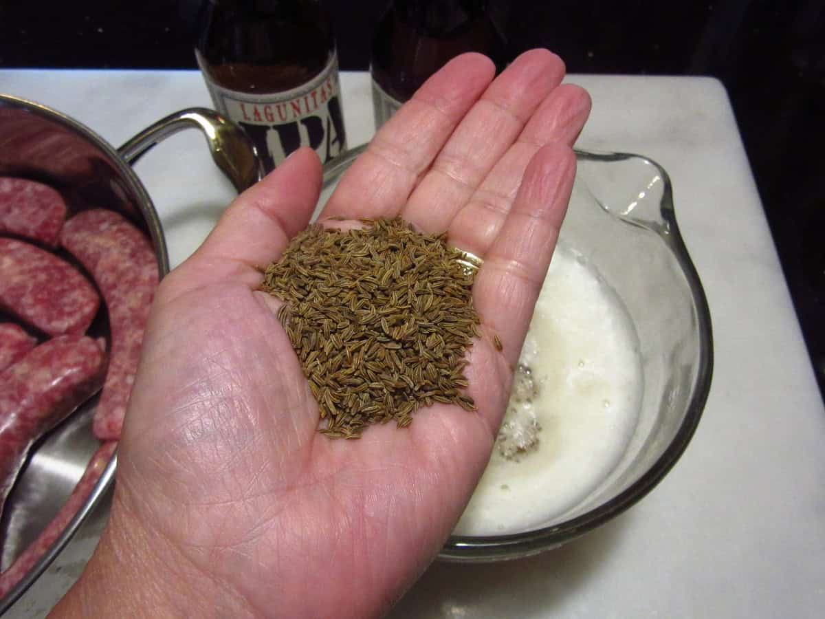 A hand holding a palmful of caraway seeds.