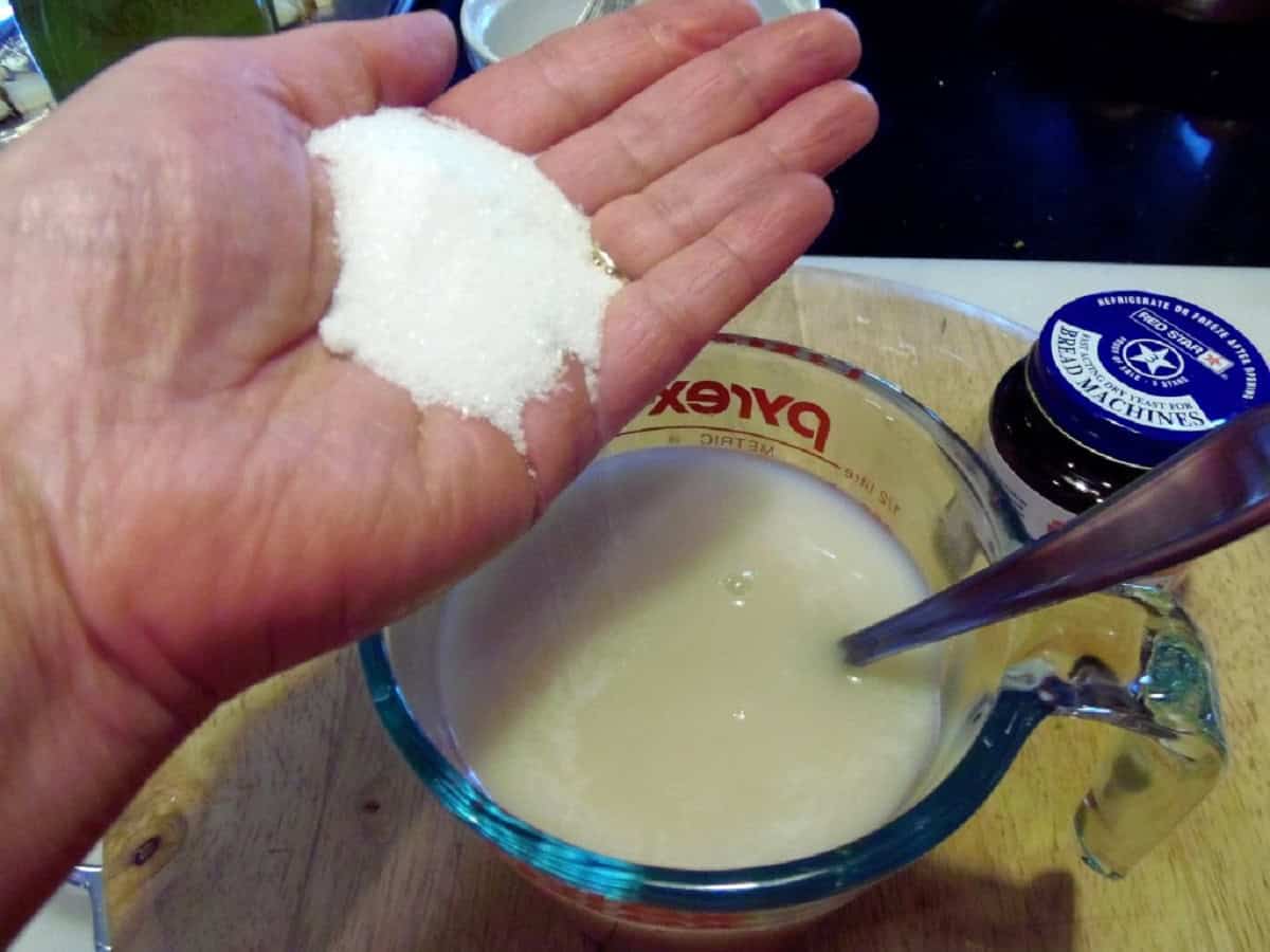 Sugar being added to a measuring cup of yeast and water.