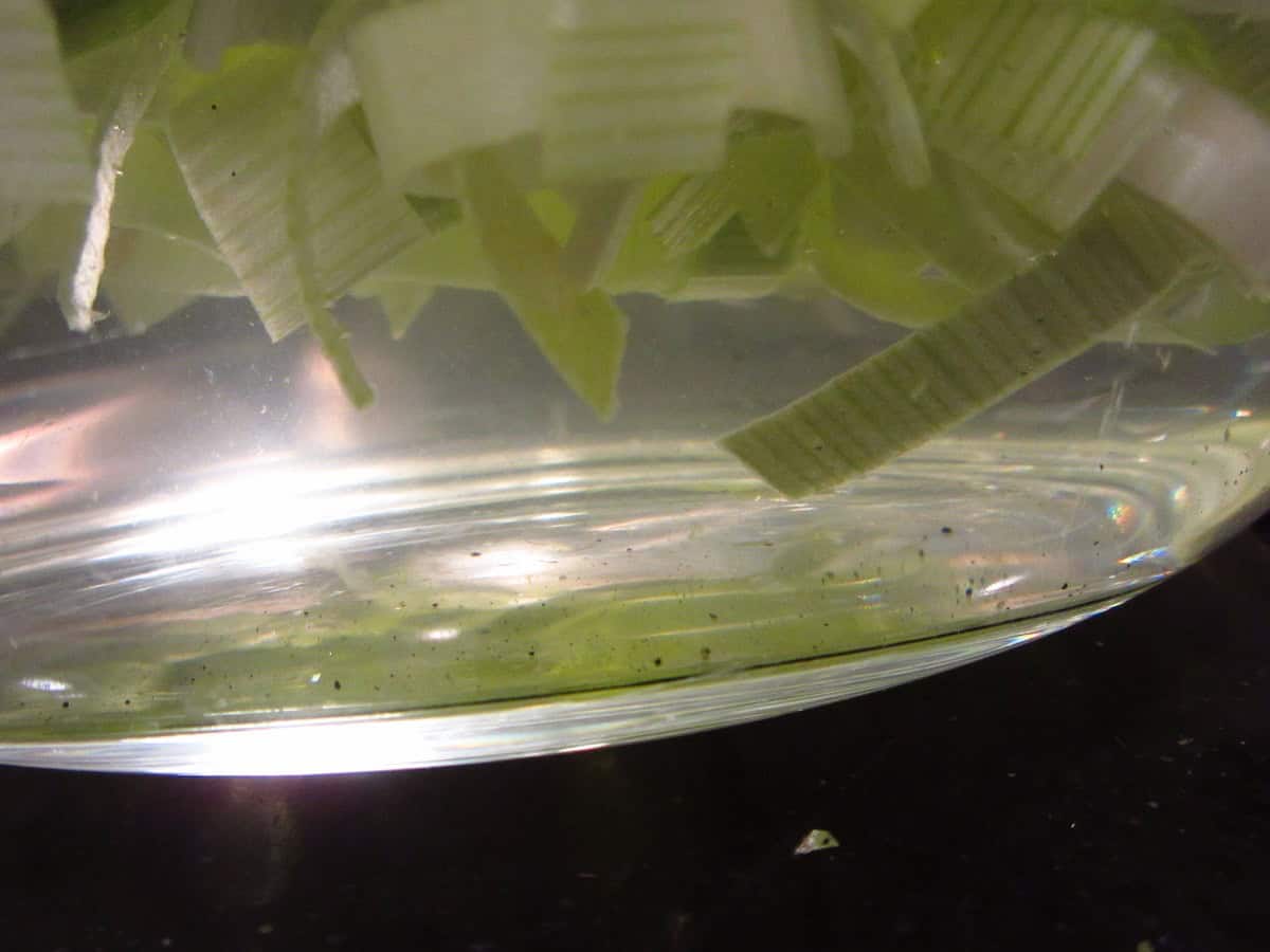 The grit and dirt in a bowl of water from chopped leeks.