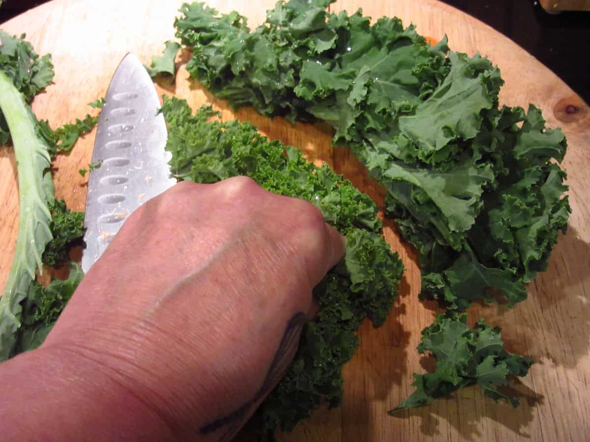 A hand massaging fresh kale leaves.
