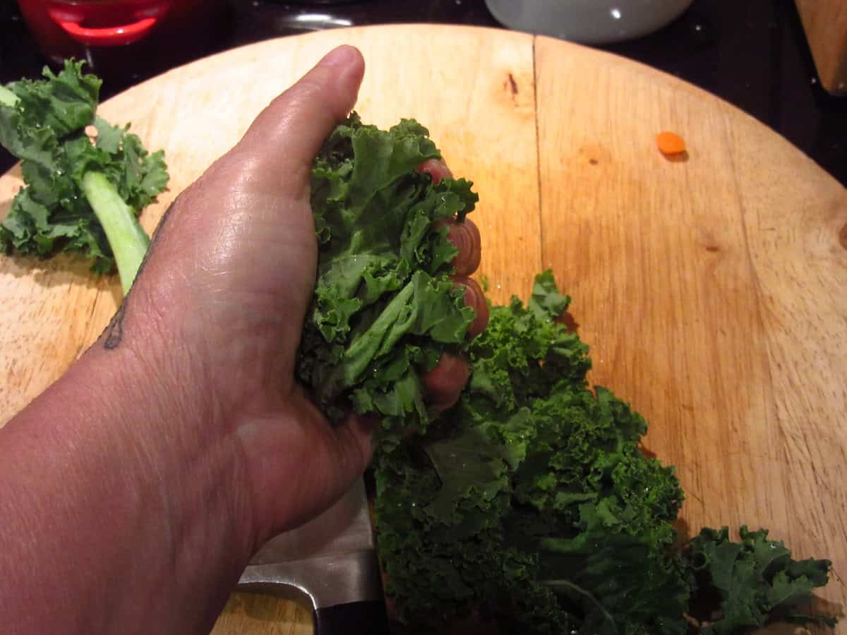 A hand holding a bunch of fresh kale.