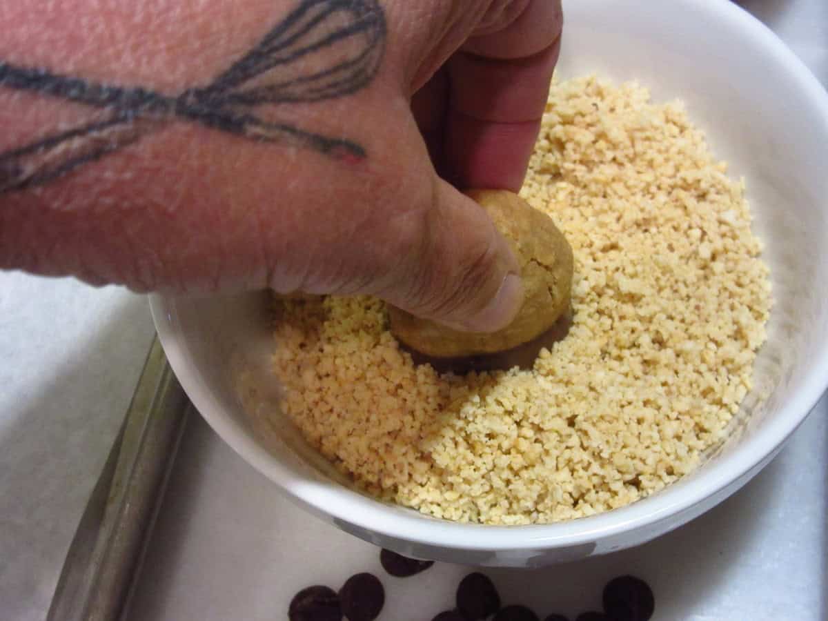 Dipping an baked acorn cookie into chopped peanuts.