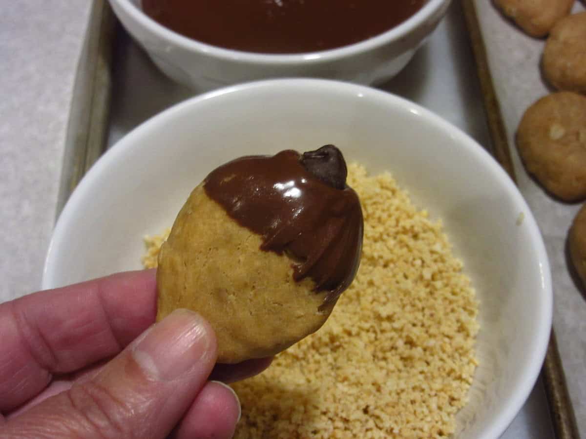 A chocolate chip on top of a chocolate dipped acorn cookie.