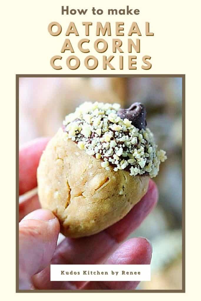 A Pinterest pin for Oatmeal Acorn Cookies along with a title text.
