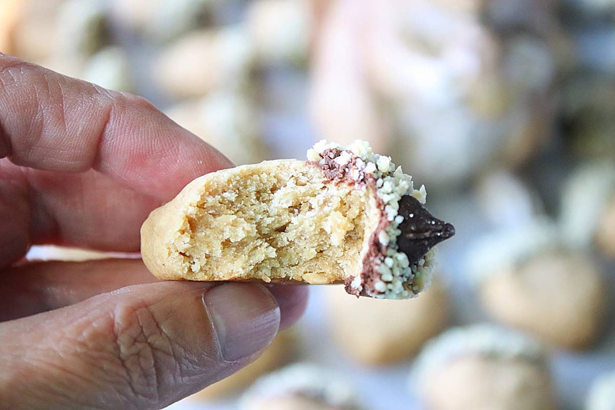 A hand holding an Oatmeal acorn cookie with a bite taken out.