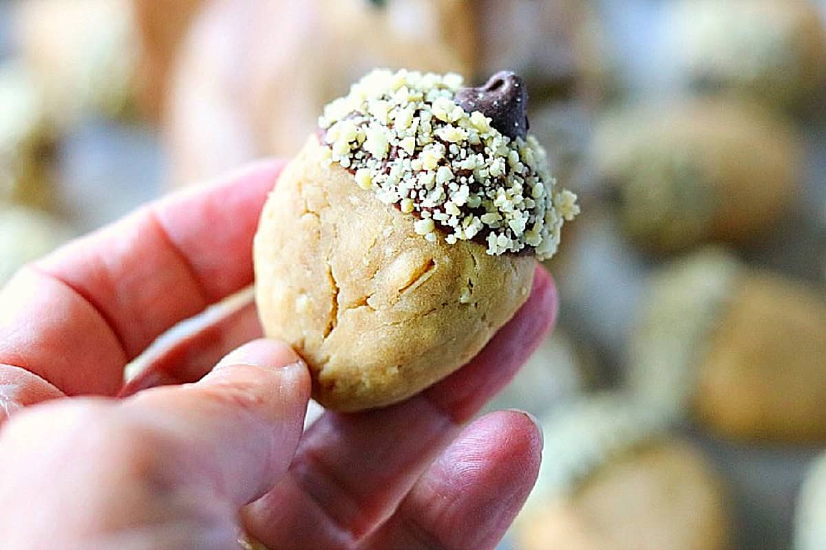 A hand holding an Oatmeal Acorn Cookie with chocolate and chopped peanuts.