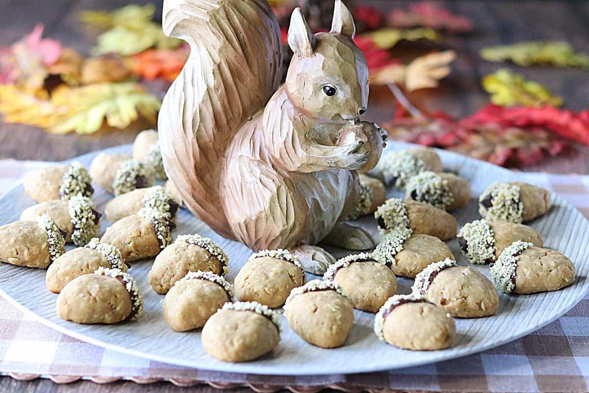 A cute squirrel platter filled with Acorn-Shaped cookies.