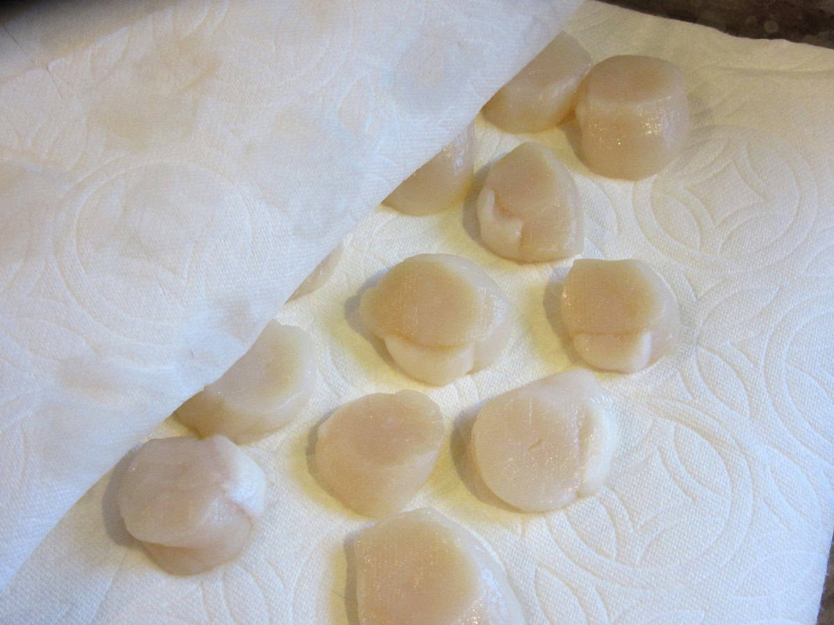Drying scallops on paper towels.