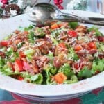 A vibrant and healthy looking Red and Green Salad in a white bowl.