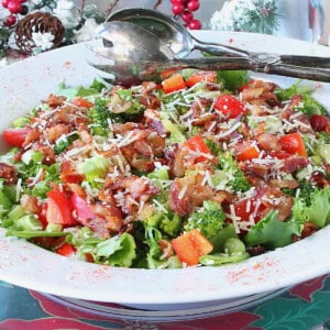 A vibrant and healthy looking Red and Green Salad in a white bowl.