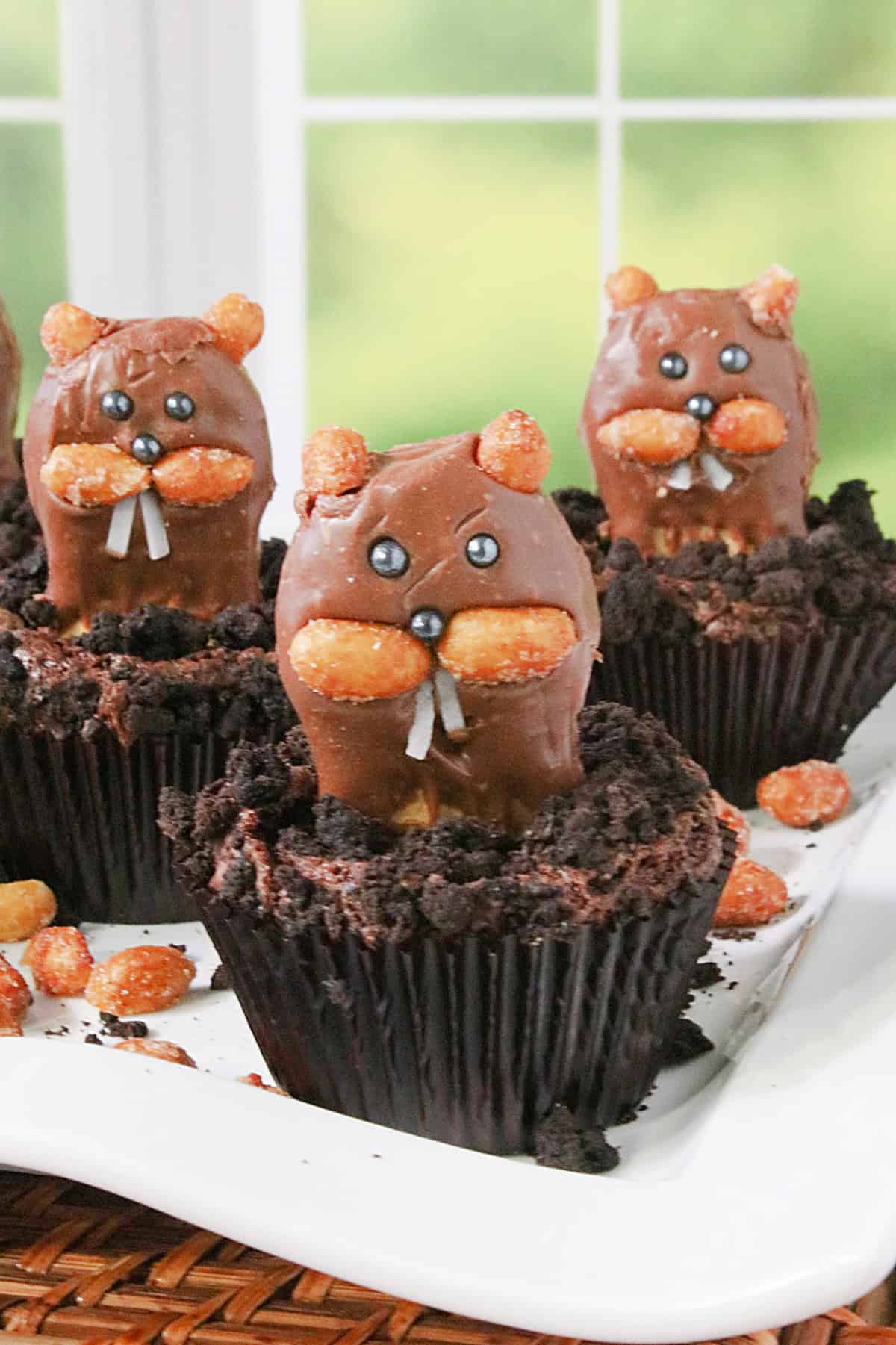 Groundhog cupcakes on a white plate by a spring green window.
