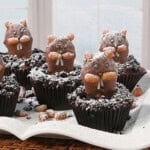 A bunch of cute groundhog cupcakes dusted with confectioners sugar on a white plate.