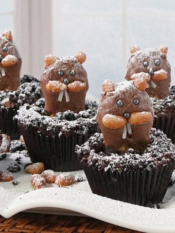 A bunch of cute groundhog cupcakes dusted with confectioners sugar on a white plate.