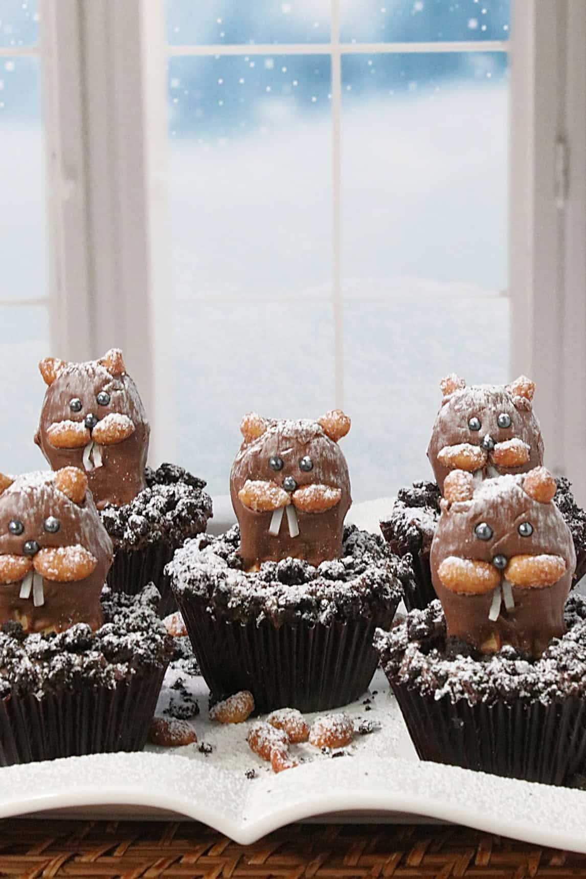 A winter scene by a snowy window of groundhog cupcakes dusted with confectioners sugar snow.