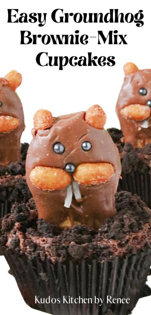 A cute groundhog cupcake with buck teeth and black eyes.