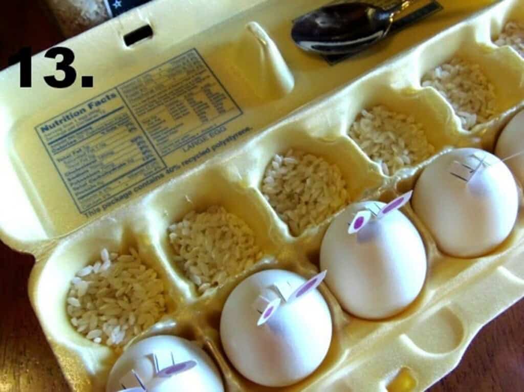 Egg carton with hard-boiled eggs sitting on top of rice for stability.