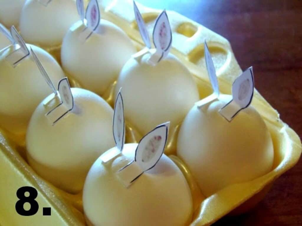 Rear view of hard-boiled eggs in a carton with bunny ears attached.
