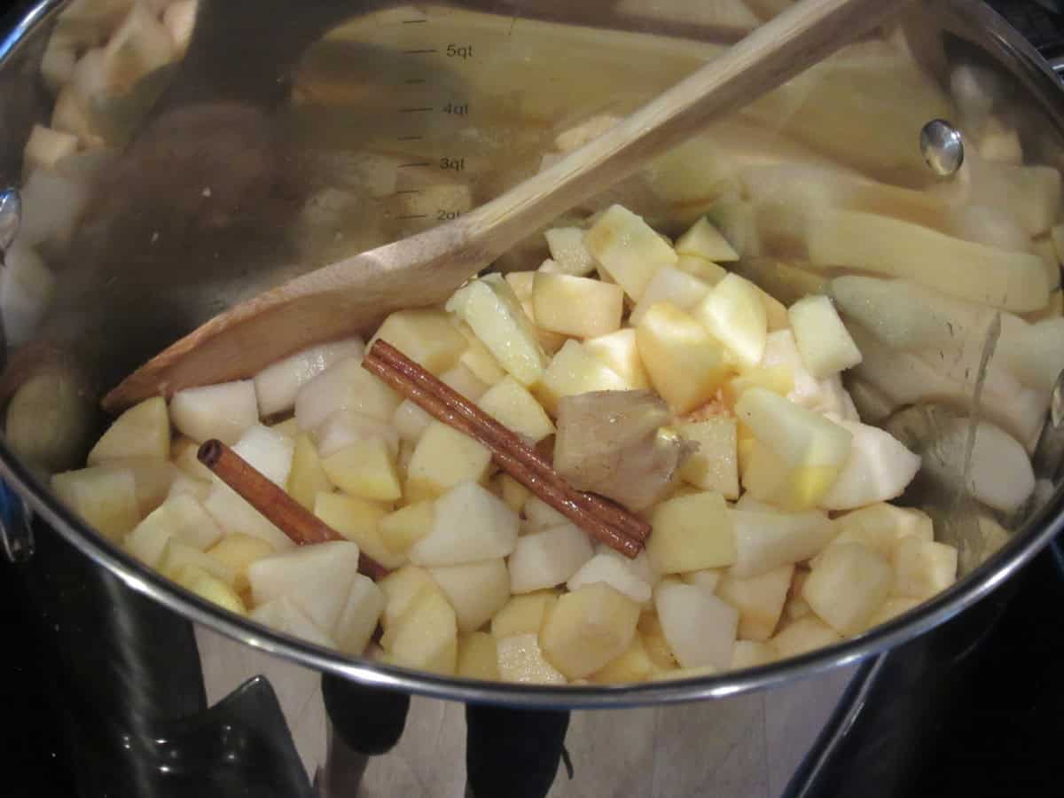 Two fresh cinnamon sticks in a pot of chopped apples and pears.