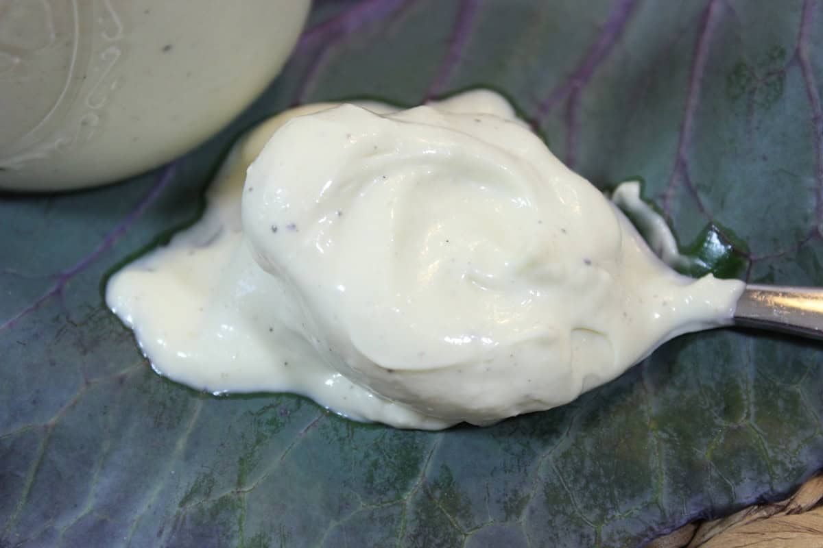 A creamy spoonful of Avocado Oil Mayonnaise on a cabbage leaf.