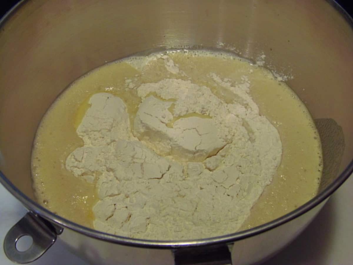 Flour and water in a stand mixer bowl.