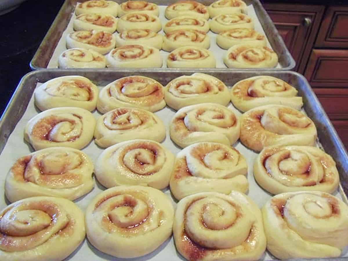 Two baking trays of proofed cinnamon rolls before baking.