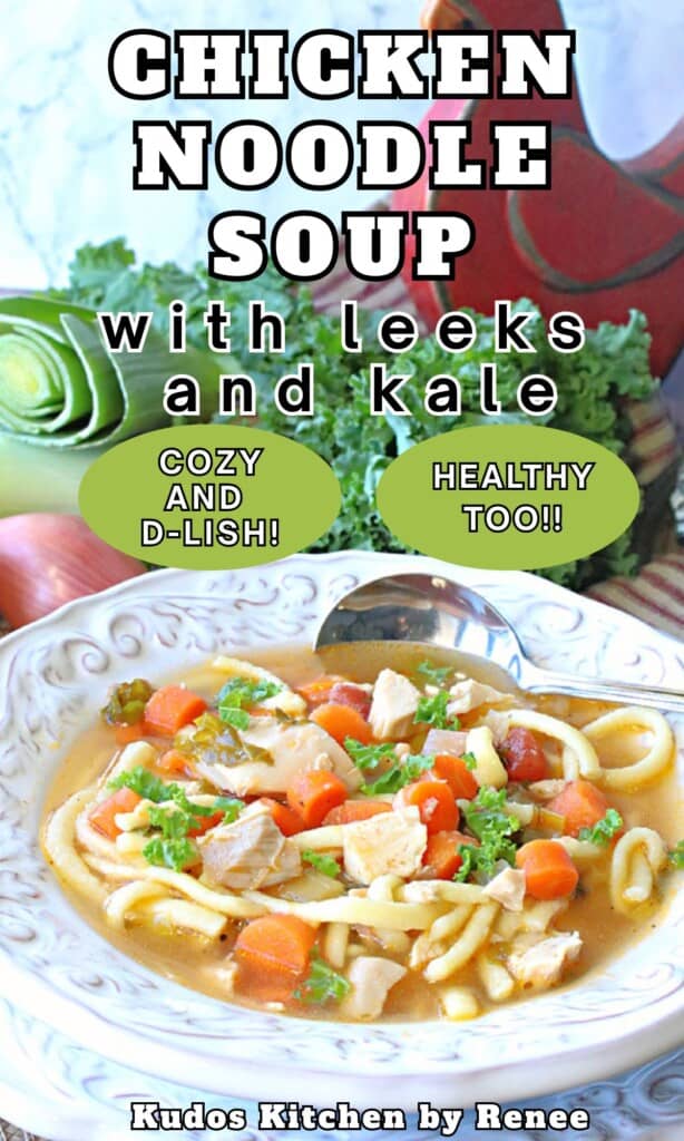 A bright and colorful bowl of chicken noodle soup with leeks and kale along with a spoon.