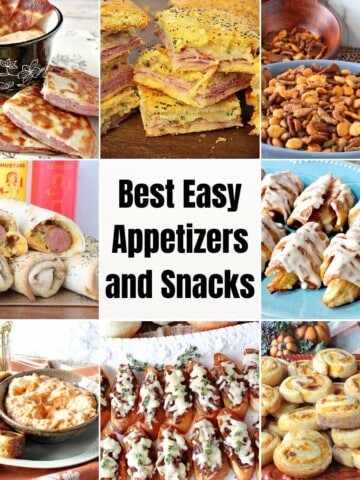 A square 8 image collage of the best appetizers and snacks recipes with a title text in the center.