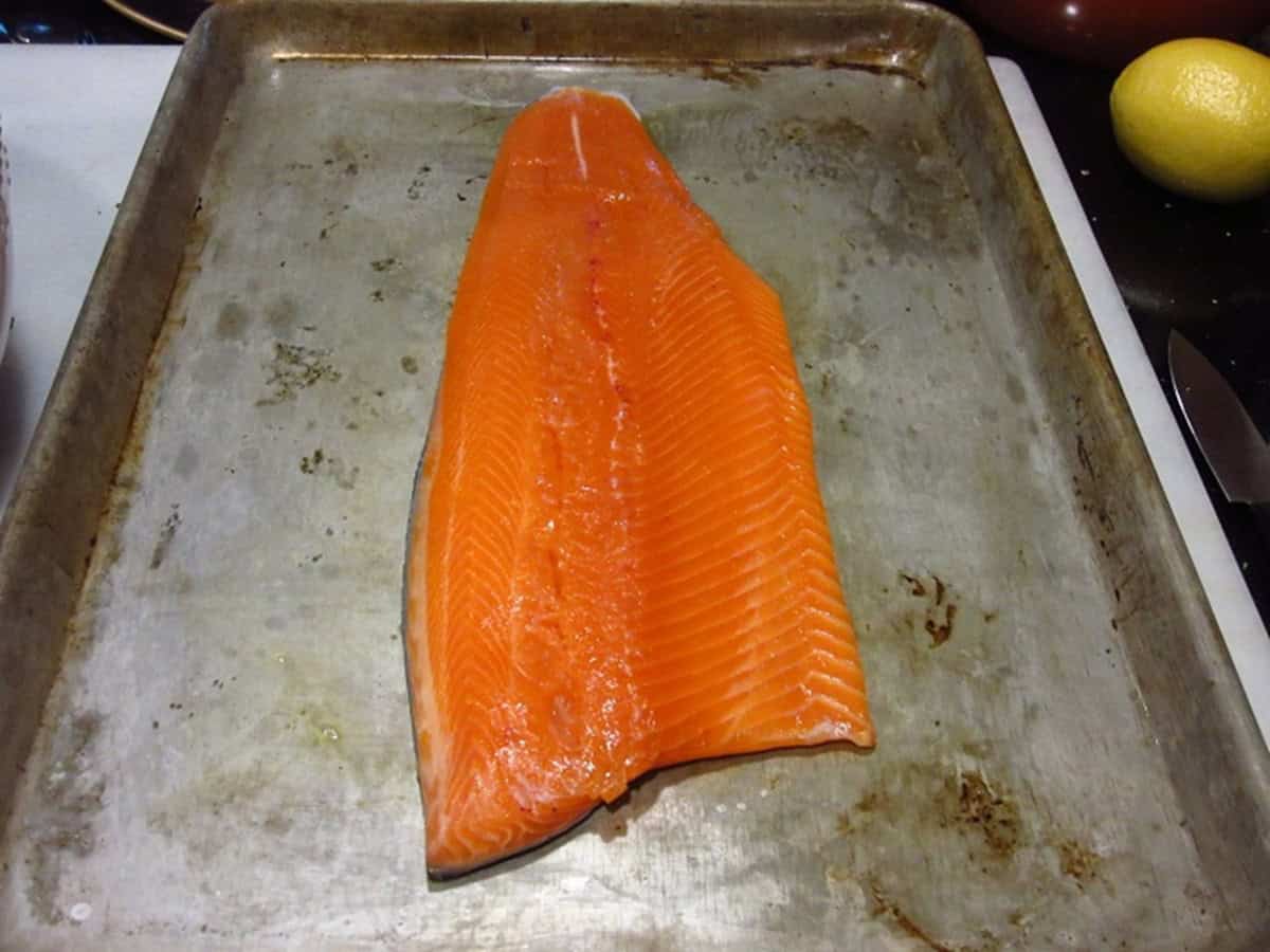 An uncooked trout fillet on a sheet pan.