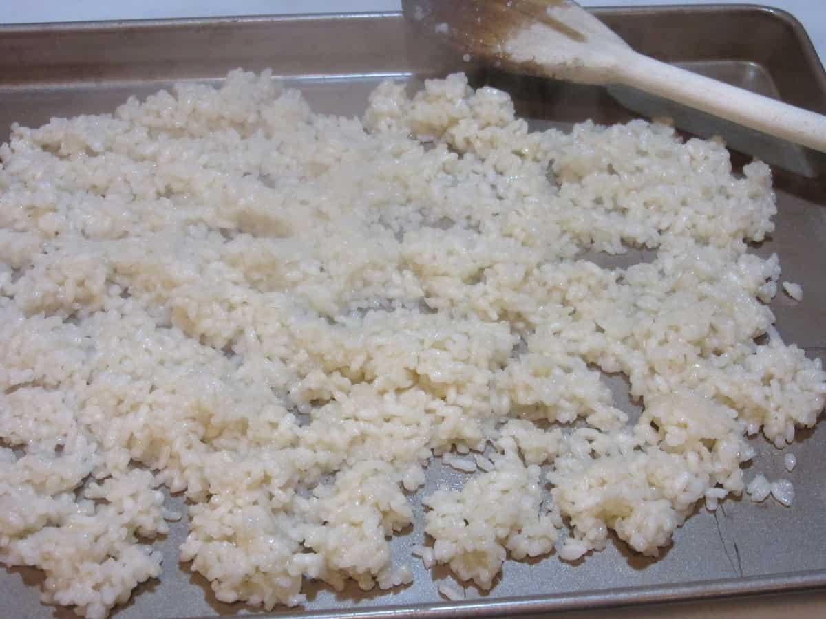 Cooked rice spread out on a baking sheet for cooling.