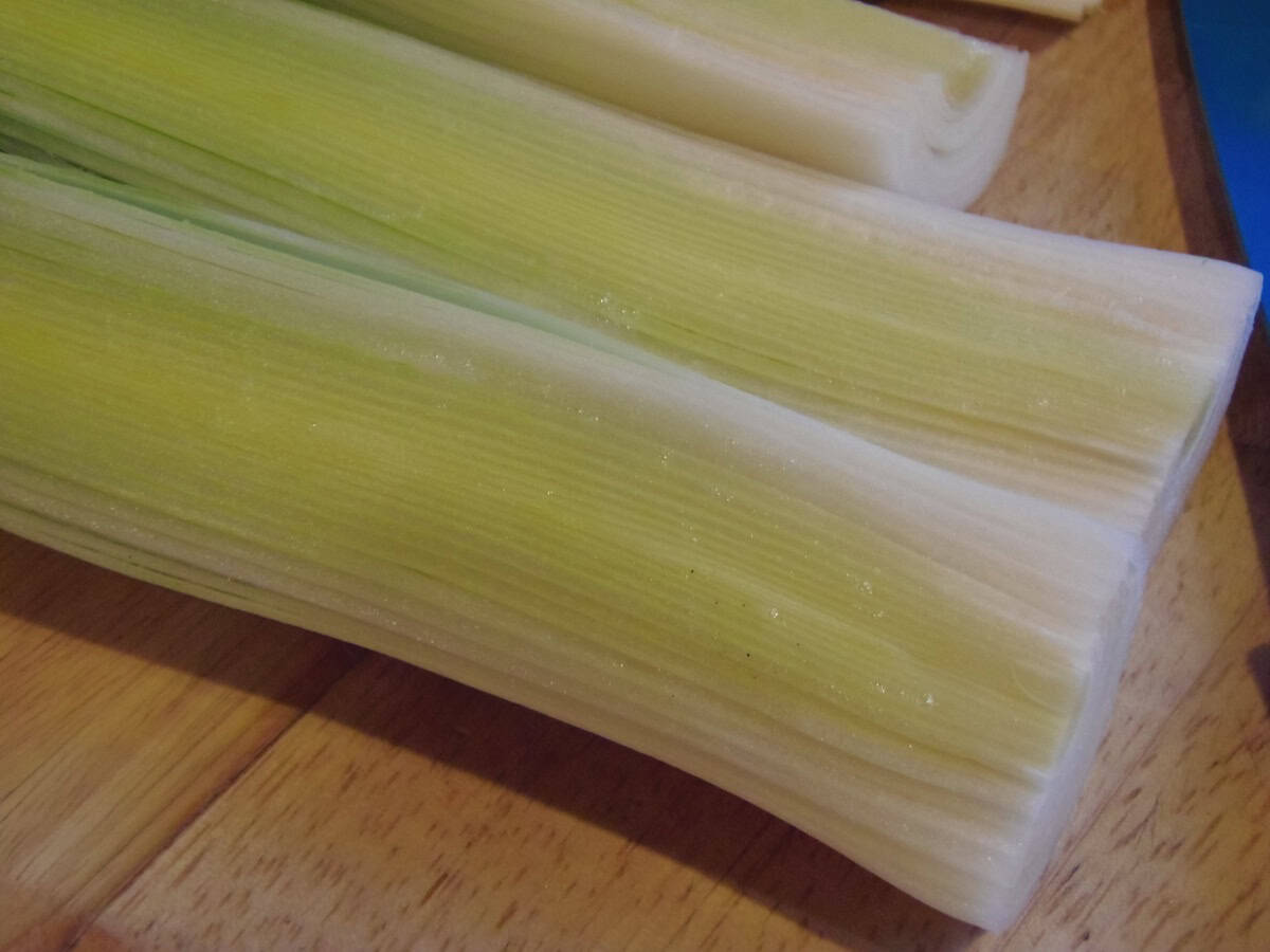 A side view of the many layers of a sliced leek.