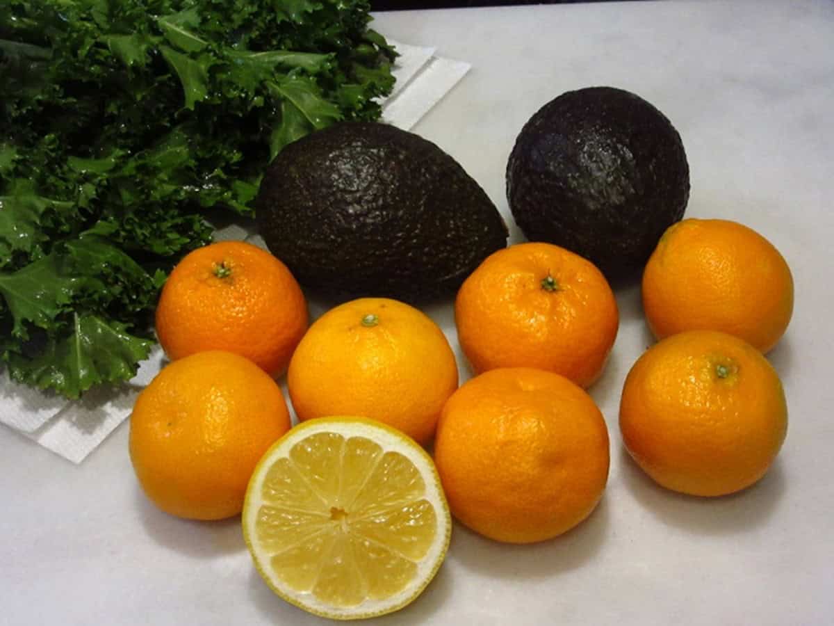 Mandarin oranges, a lemon half, avocados, and endive lettuce on a counter.