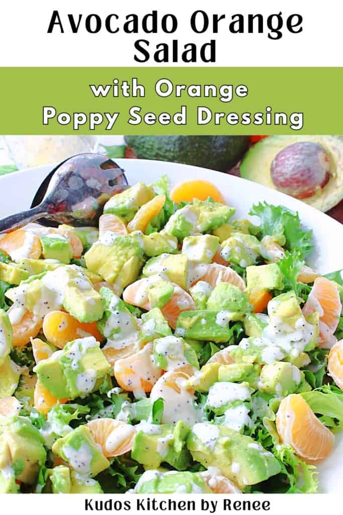 Mandarin orange segments, diced avocado, and endive lettuce in a bowl topped with a poppy seed dressing.
