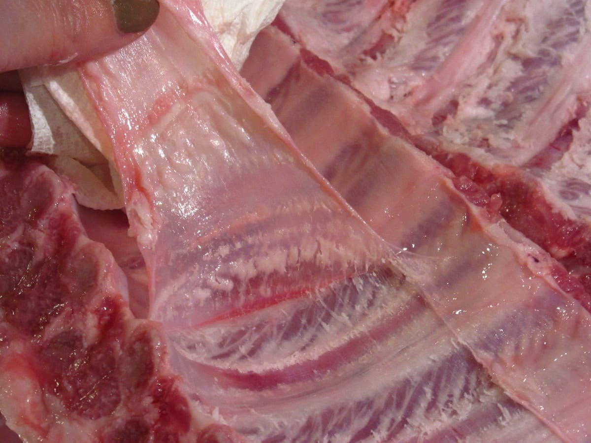 A strip of silver skin being removed from the underside of baby back pork ribs.