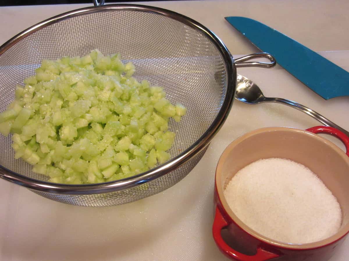 Diced cucumbers in a strainer along with a red salt cellar on the side.