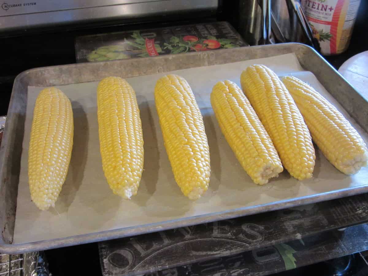 Cleaned and shucked ears of corn on a baking sheet ready for the oven.