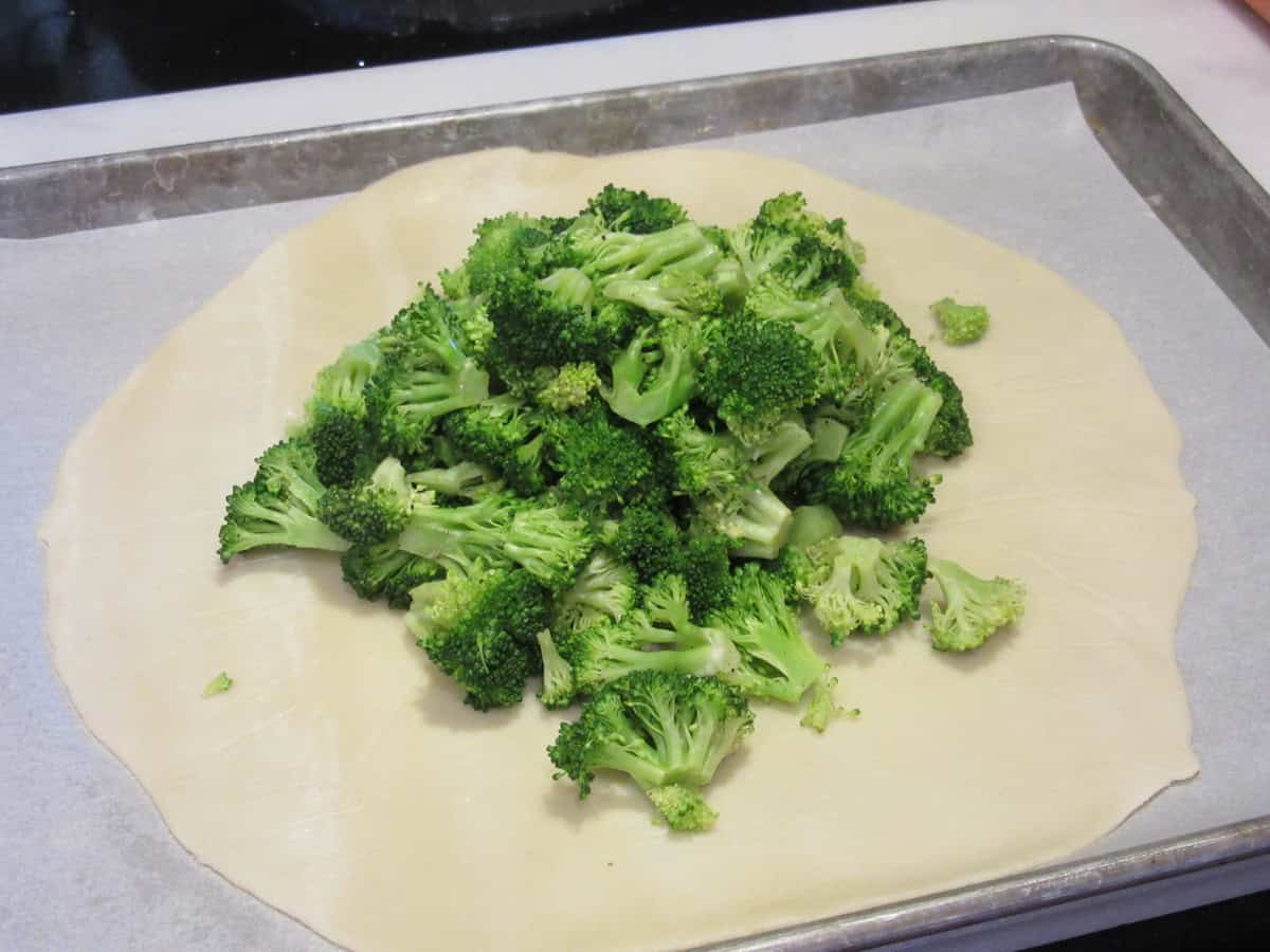 Blanched chopped broccoli in the center of an uncooked pie crust circle.