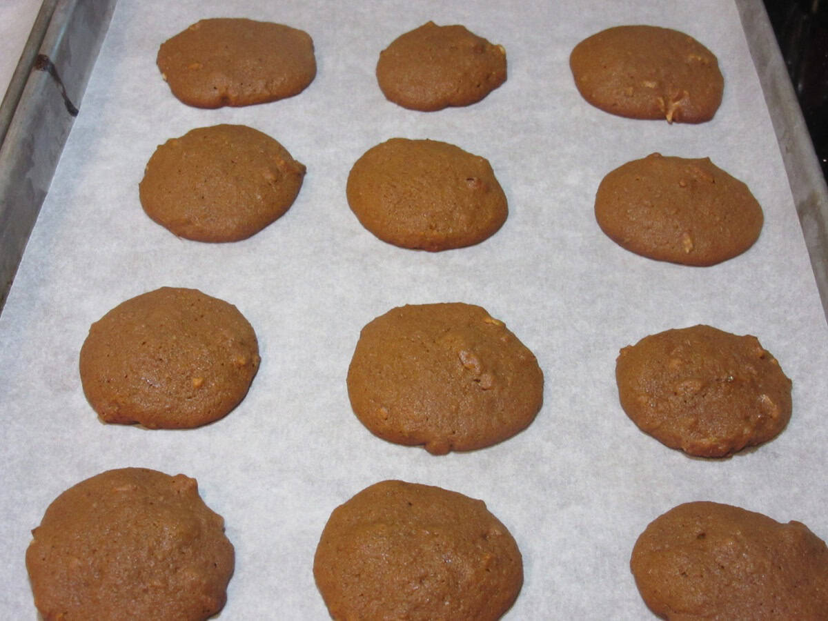 A dozen of sweet potato cookies fresh out of the oven and still on a baking sheet.