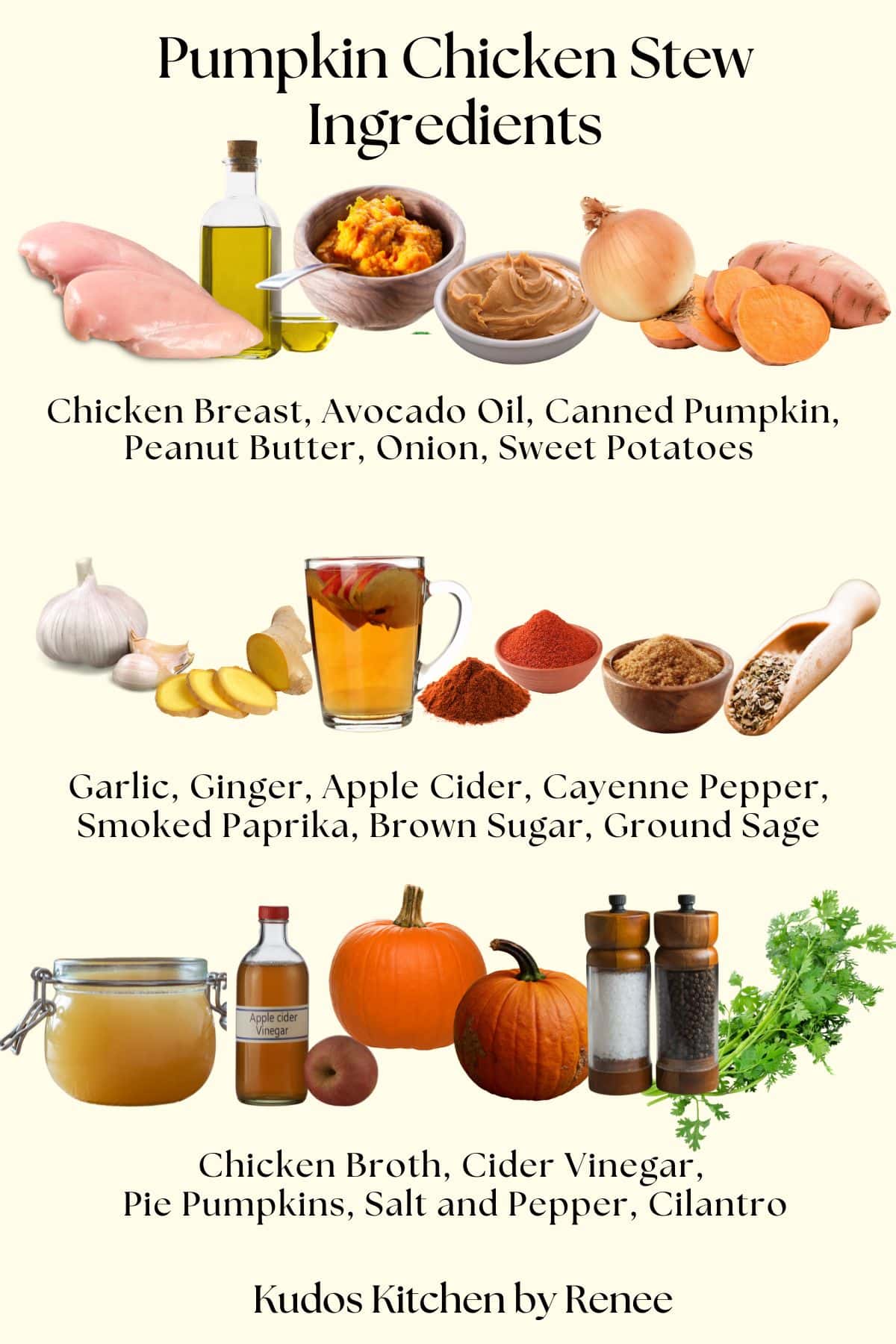 A visual ingredient list with all the products it takes to make pumpkin chicken stew.