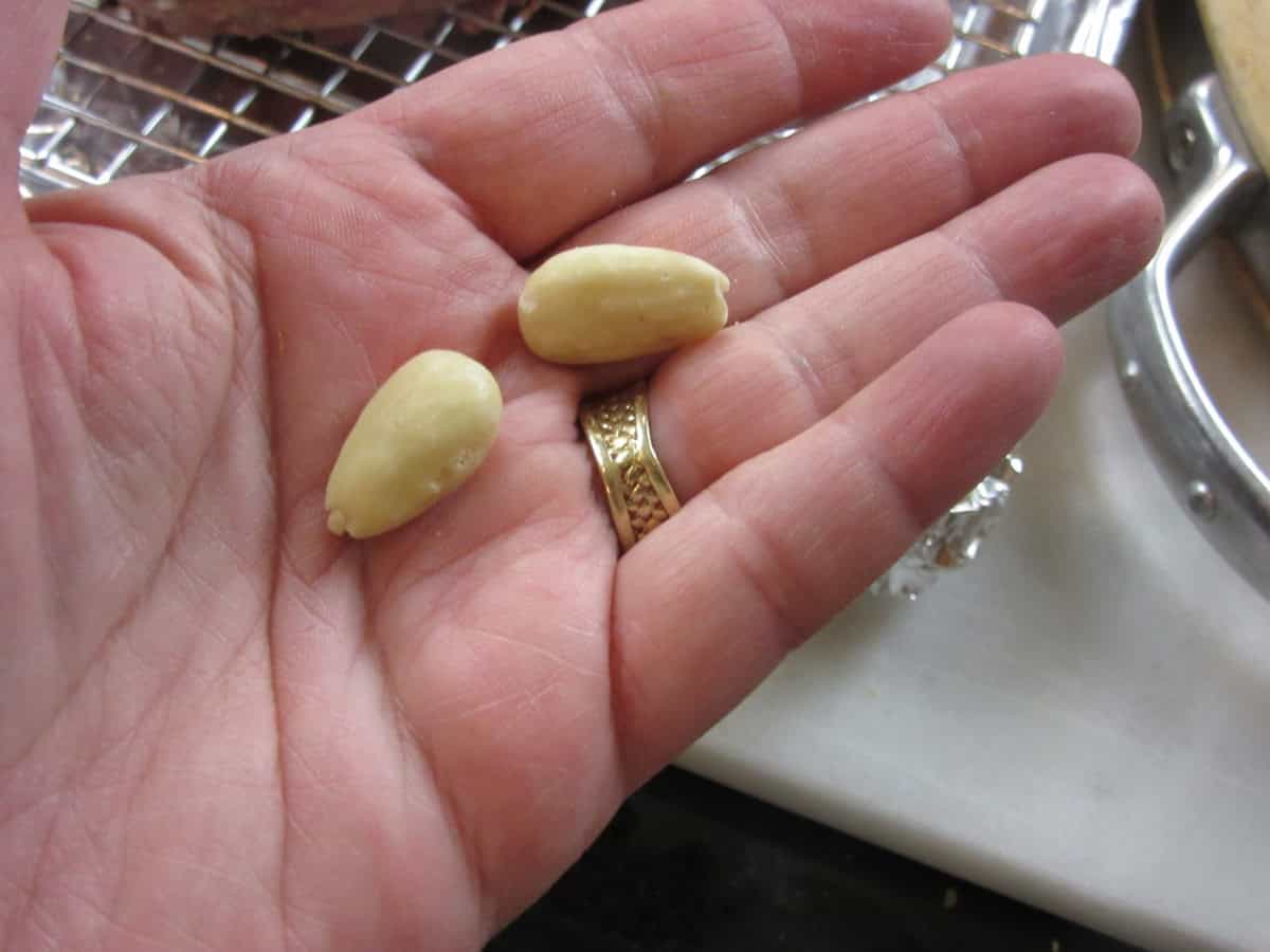 Two whole blanched almond being held in a hand.