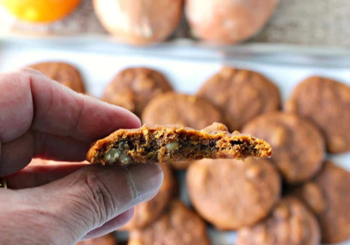 Looking for an alternative to pumpkin spice cookies this Fall? Look no further. These Amish Sweet Potato Cookies are soft and chewy with a mild spicy flavor that pairs perfectly with a cup of coffee or tea. - Kudos Kitchen by Renee A hand holding a look inside of a soft and chewy sweet potato cookie with walnuts and raisins.