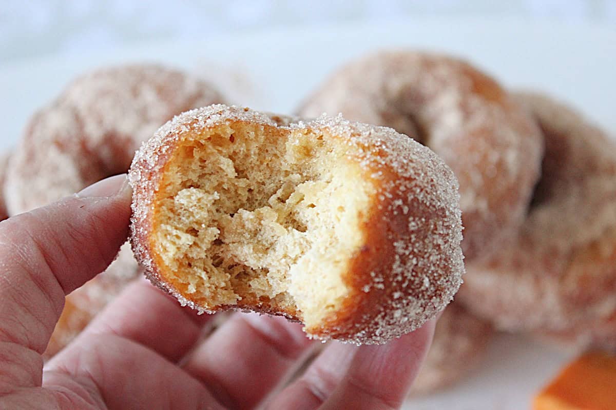 A hand holding a sweet potato cake donut with a bite taken out so you can see the texture.