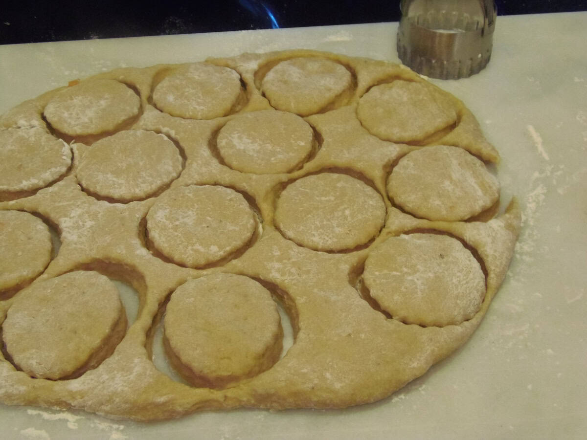 A slab of sweet potato donut dough with circles cut out for making doughnuts.